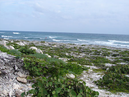 IM_beach_north