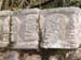 CI_skulls_closeup