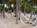 XH_6hammocks
