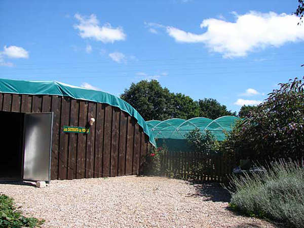 m1_snail_farm