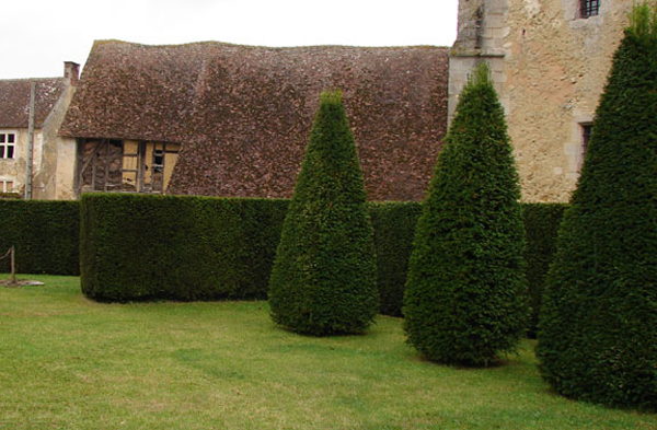 p_manoir_hedge