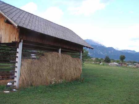Ribno_hayrack