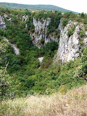 divaca_sinkhole