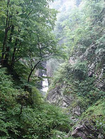 gorge_falls