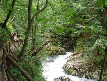 gorge_river