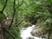 gorge_river