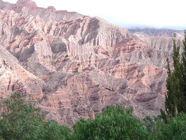 hosts_view_from_window