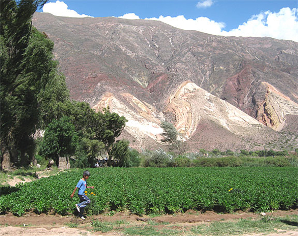 mountains_miamara_al#48946A