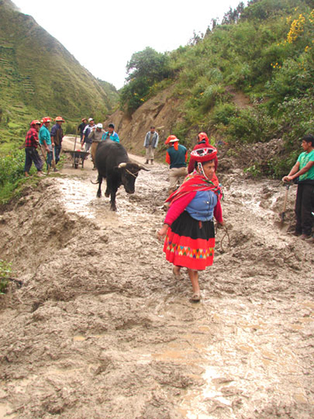 c_mudslide_bull