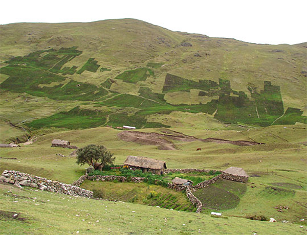 l_fields