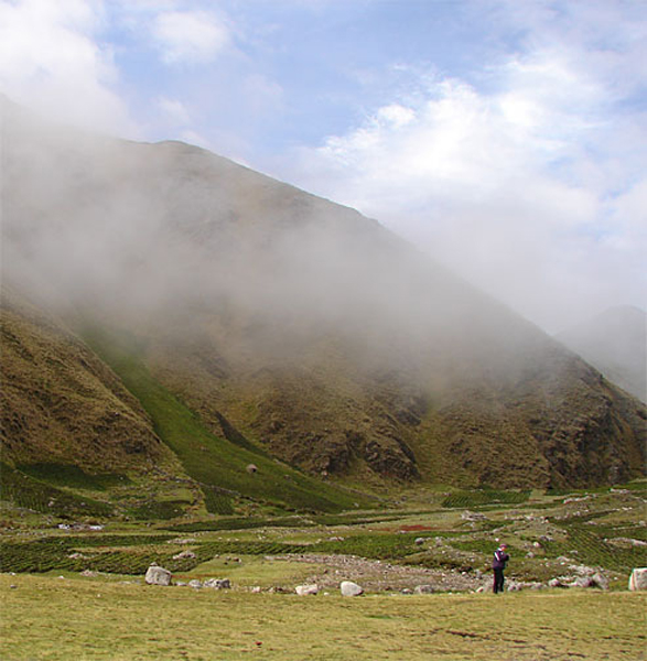 p_cloud_cover