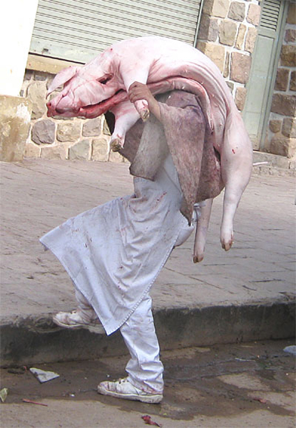 meat_b_pig