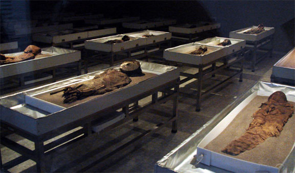 g_mummies_roomful