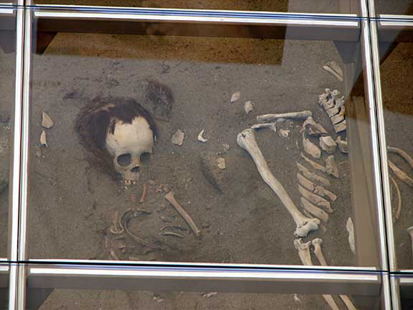 l-mummies_under_glass