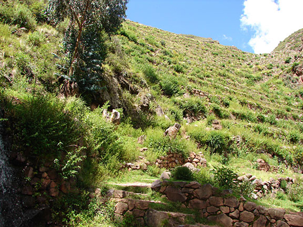 8pisac_ruins