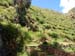 8pisac_ruins