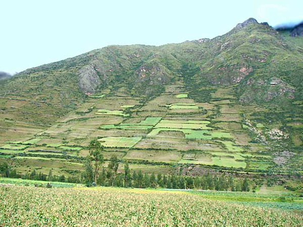 b_farming_peru_style