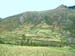 b_farming_peru_style