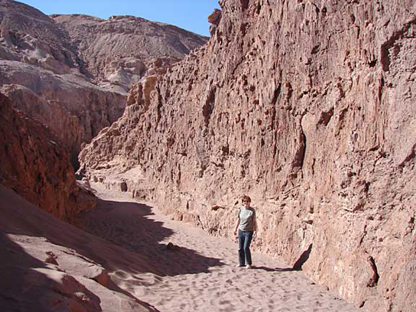 d_trail_me