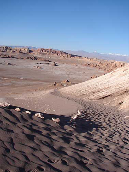 m_path_to_dune