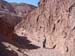d_trail_me