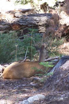 100_0210