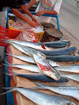 fish