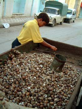snails