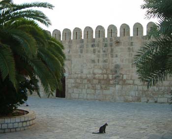 catinplaza