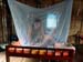 g1_mosquito_net