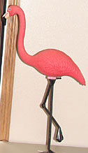 flamingo