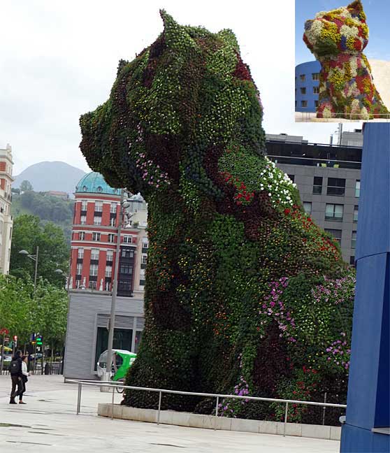 b_koon_dog