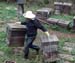 w_beekeeper