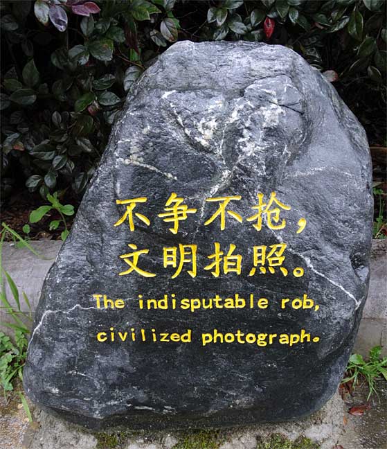 Translation difficulty