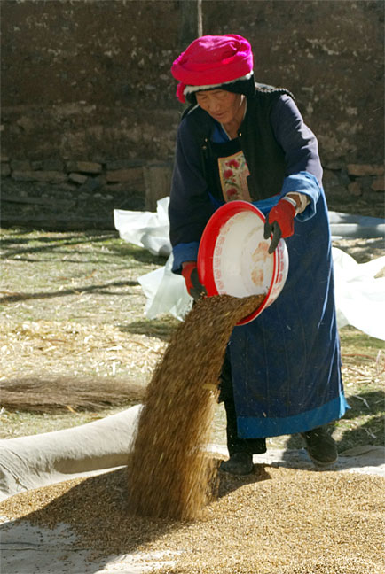 e_woman-pouring-grain