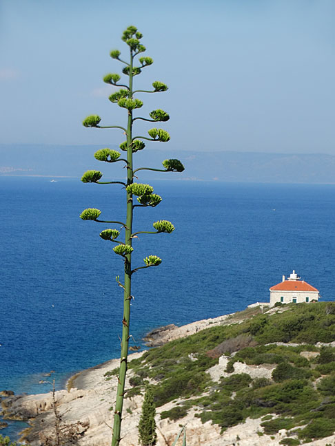 Croatia
