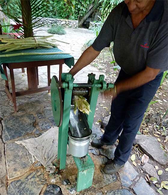 cane juicing