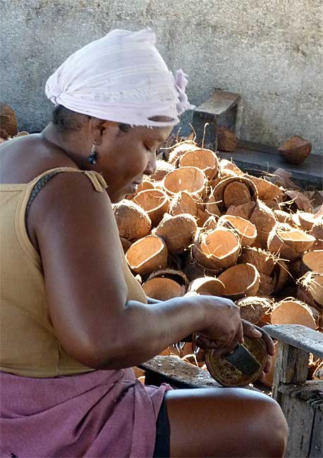 coconut processing