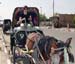 b_carriage_driver