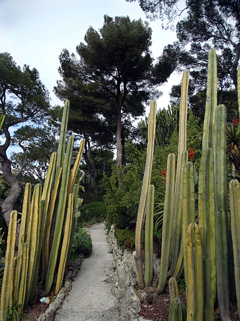 Botanical gardens