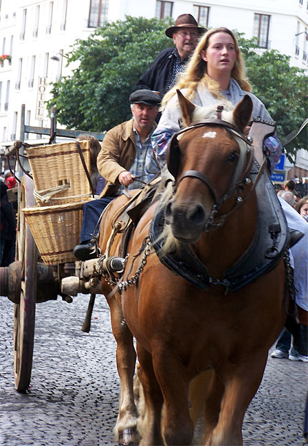 i_horse_cart