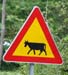Ribno_cow_crossing
